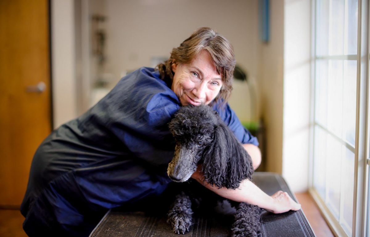 Services Vet in Plano High Point Animal Clinic